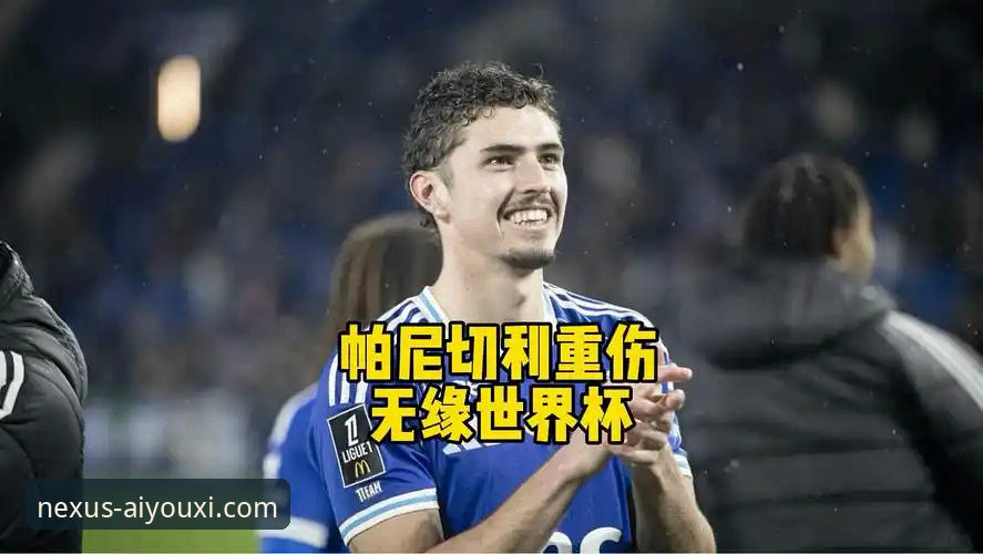 爱游戏app最新安装包 帕尼切利伤退vs阿根廷战术板:一次伤病如何改变世界杯格局?